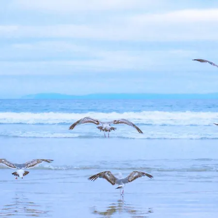 Chalé Tiny Luttikduin Nr 25