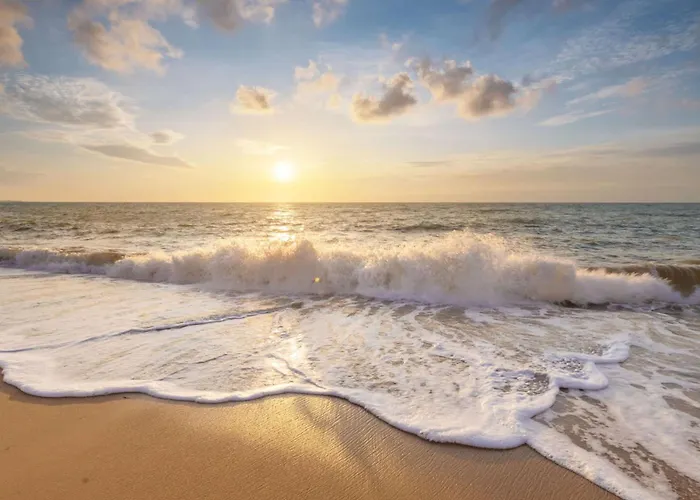 샬레 Tiny Luttikduin Nr 25